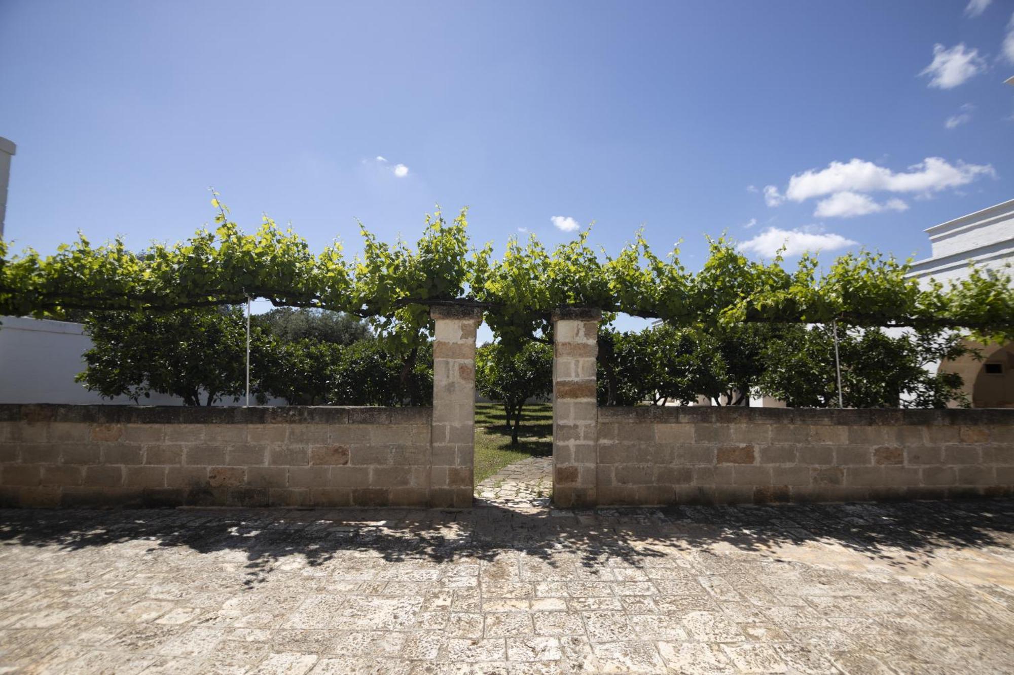 Masseria Palmo Francavilla Fontana Eksteriør billede