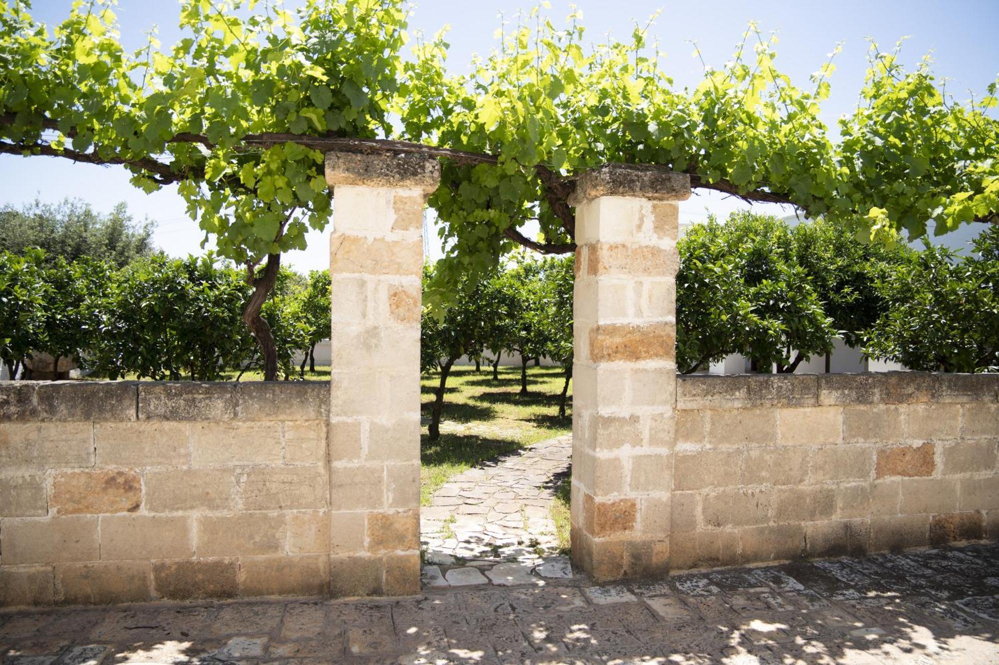 Masseria Palmo Francavilla Fontana Eksteriør billede
